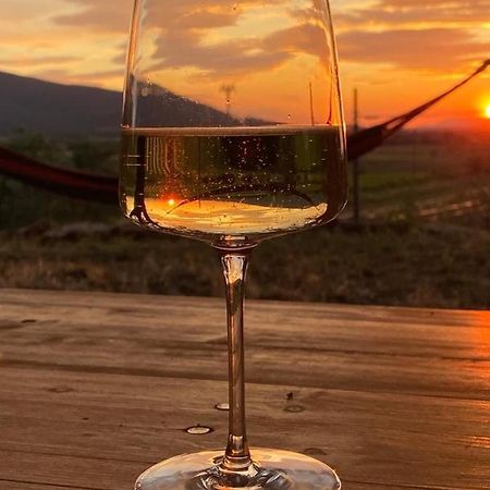 When In Maremma Apartment Алберезе Екстериор снимка