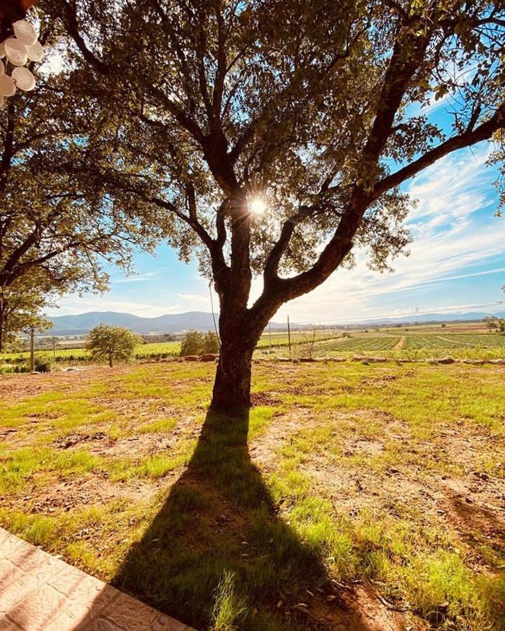 When In Maremma Apartment Алберезе Екстериор снимка