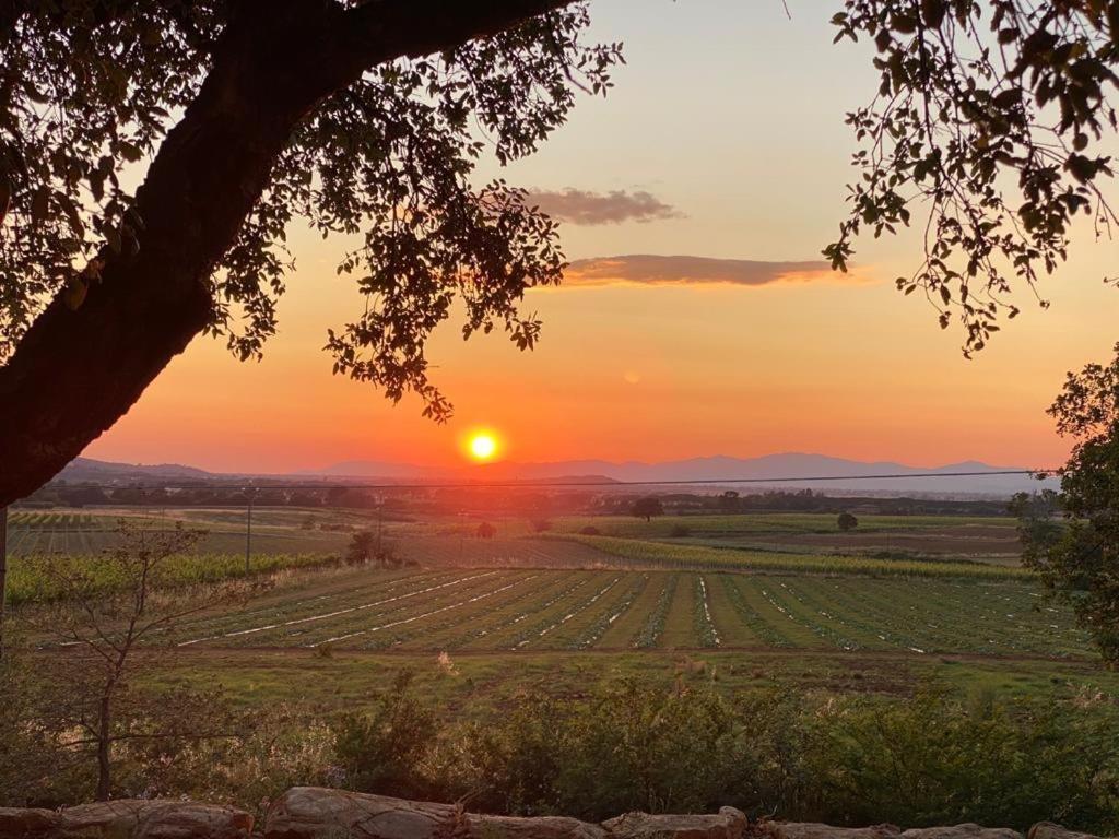 When In Maremma Apartment Алберезе Екстериор снимка
