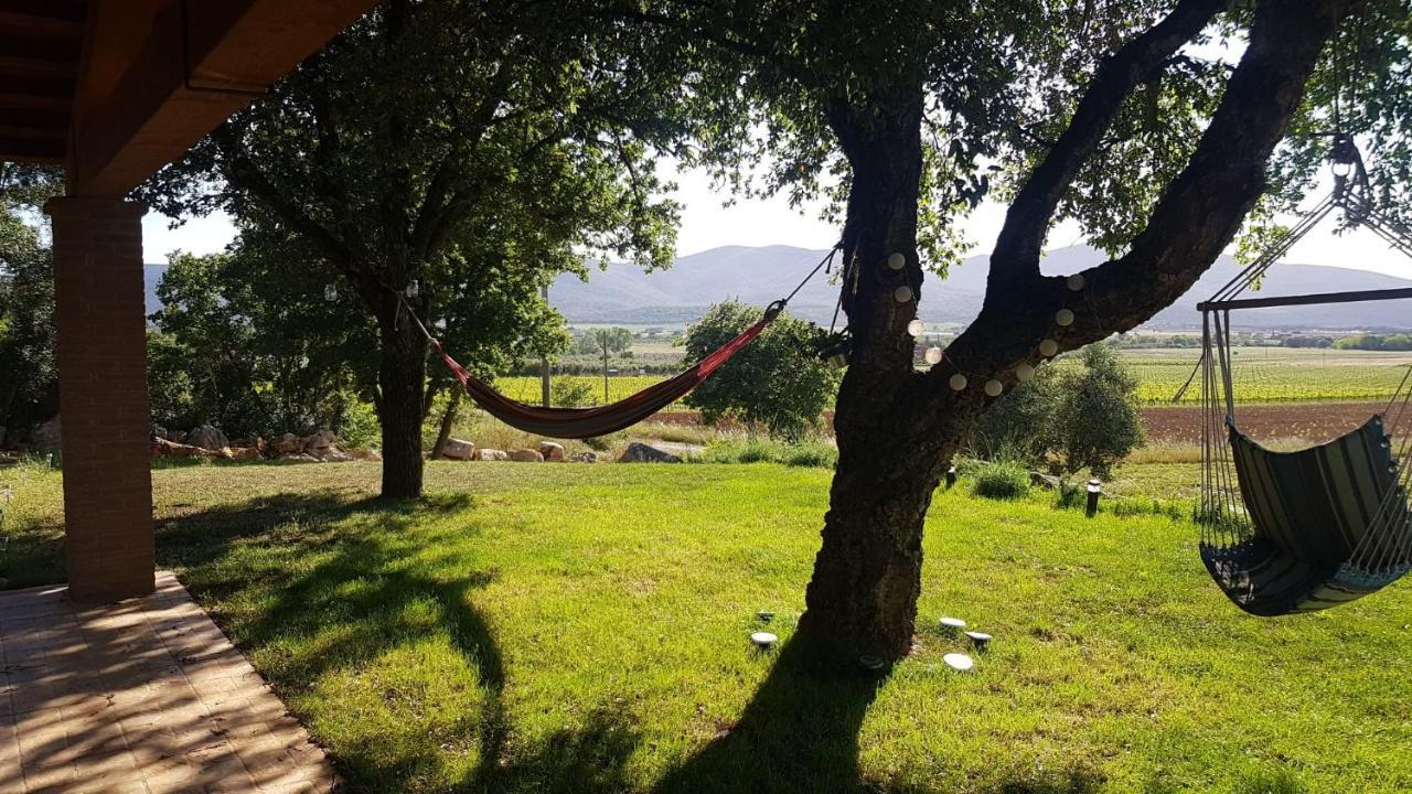 When In Maremma Apartment Алберезе Екстериор снимка